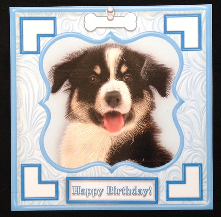 Dog & Bone (1) - 7.5 x 7.5 Card Topper With Greetings & Decoupage by Carol Bath 