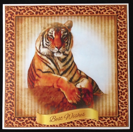 Lazing Tiger by Carol Bath 