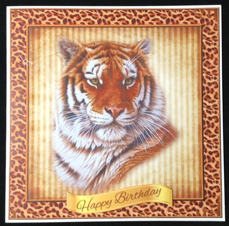 Posing Tiger by Carol Bath 