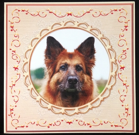 Star and Swirl Frames set of 10 by Carol Bath 
