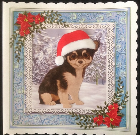 Cute Tea Cup Puppy 7x7 by Carol Bath 