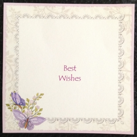Butterflies and Lace Insert 2 by Carol Bath 