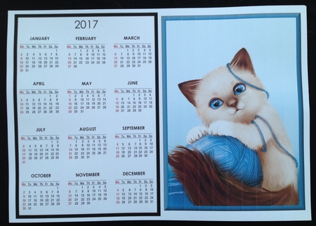 Blue Eyes Calendar by Carol Bath 
