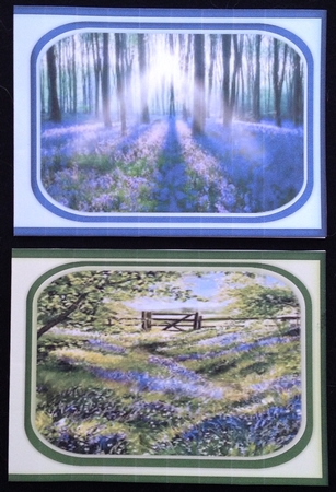 2 A6 app Print and Cut cards Bluebell woods  by Carol Bath 