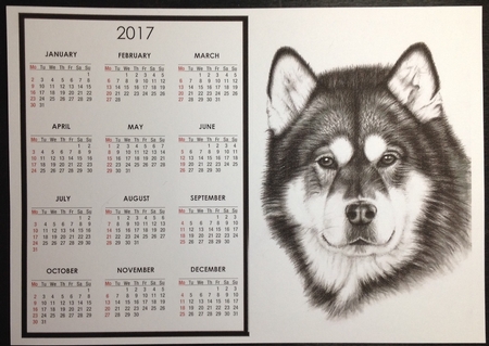 Husky Calendar by Carol Bath 