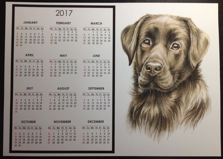 Chocolate Lab Calendar by Carol Bath 