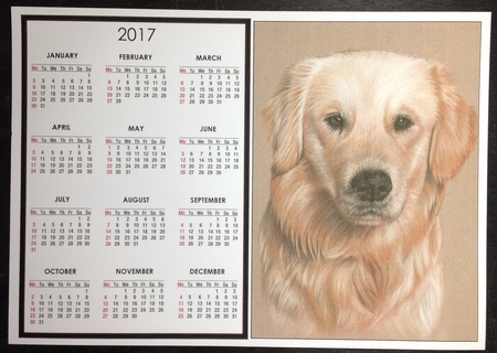 Golden lab Calendar by Carol Bath 