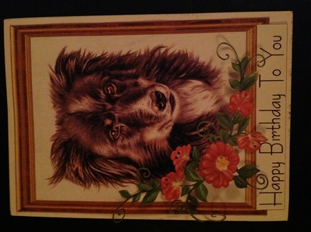 The Collie Sheet by Carol Bath 