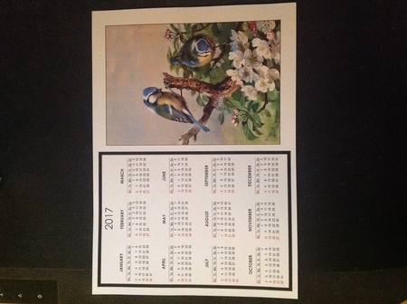  Blue Tits Calendar by Carol Bath 