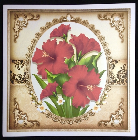 Red Hibiscus Card Mini Kit by Carol Bath 