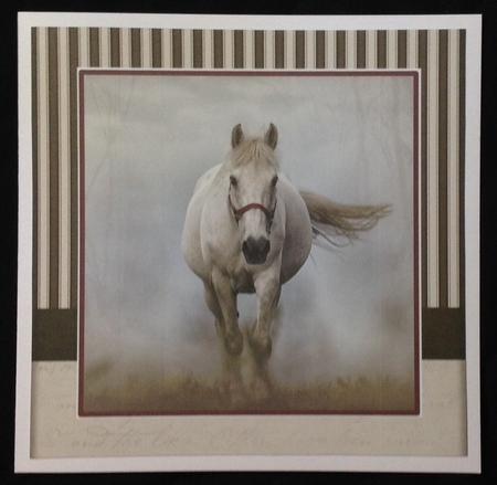 Racing Horse by Carol Bath 