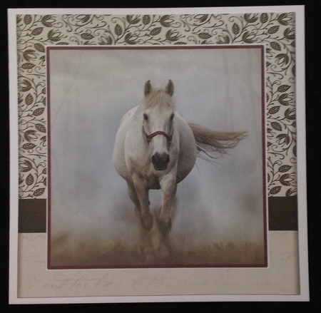 Racing Horse by Carol Bath 