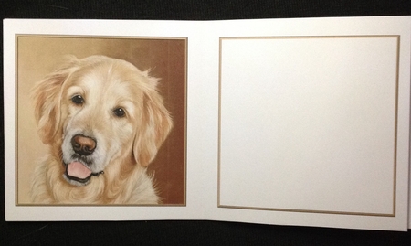Goldie Insert by Carol Bath 