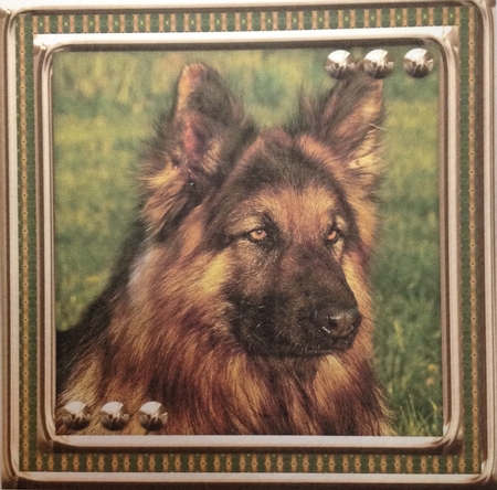 JJ LOVE MY DOG GERMAN SHEPHERD 8X8 INSERT BLANK by Carol Bath 
