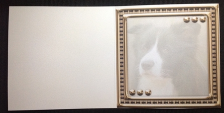 JJ LOVE MY DOG BORDER COLLIE 8X8 INSERT BLANK by Carol Bath 