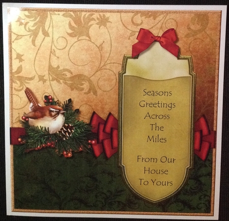 Precious Christmas Bird   Quick Card  INSERT by Carol Bath 