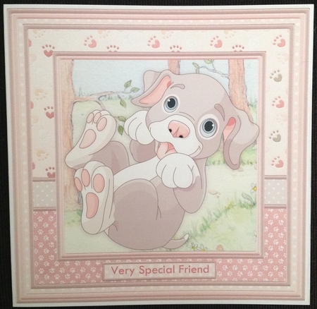 HOW OLD ROFL Puppy 8x8 Decoupage Ages & Insert Mini Kit by Carol Bath 