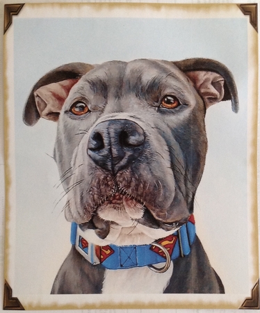 Blue & Spud Toppers by Carol Bath 