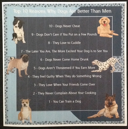 Top 10 Reasons Why Dogs Are Better Than Men by Carol Bath 