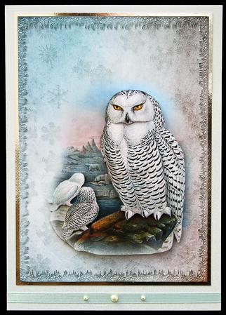Vintage Birds 5.1, Snowy Owl by Carol Bath 