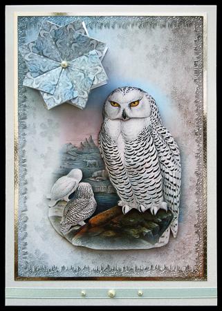 Vintage Birds 5.3, Snowy Owl by Carol Bath 
