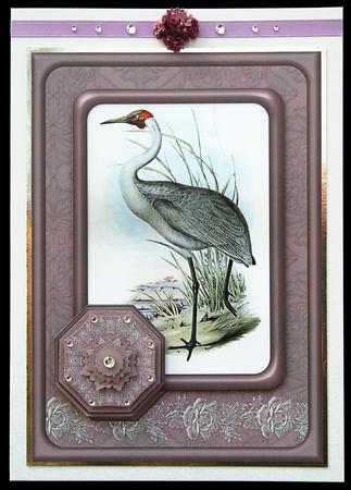 Vintage Birds 6, Australian Brolga by Carol Bath 