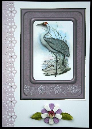 Vintage Birds 6.2, Australian Brolga by Carol Bath 