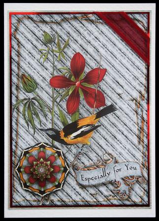 Vintage Birds 11.1, Troupial by Carol Bath 