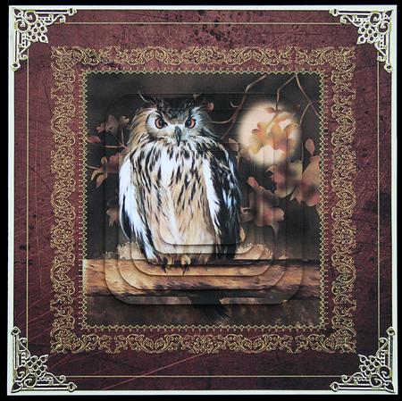 Owl Card Front by Carol Bath 