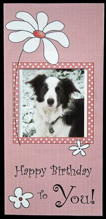 Add a Photo Daisy Birthday with Easy Fold Frame by Carol Bath 