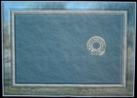 Lioness 2 Insert by Carol Bath 