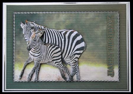 Zebra & Baby Quick Card by Carol Bath 
