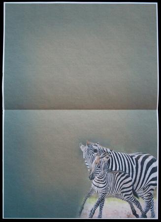 Zebra & Baby Insert by Carol Bath 