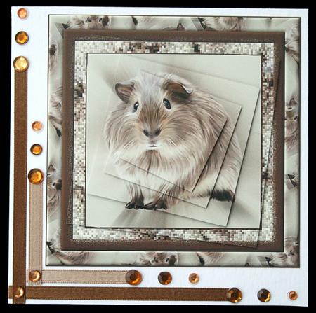 Guinea Pig Twisted Pyramage by Carol Bath 