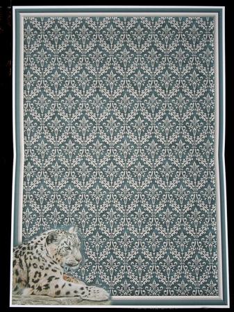 Snow Leopard Insert by Carol Bath 