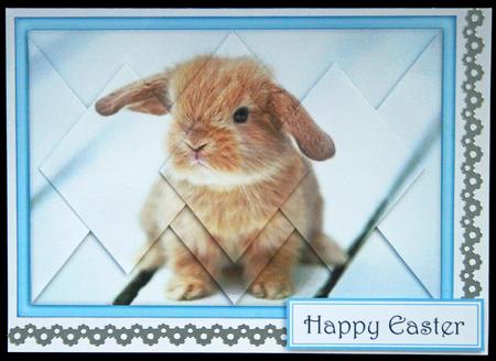 Beautiful Baby Bunny - Diamond Stacker Card by Carol Bath 