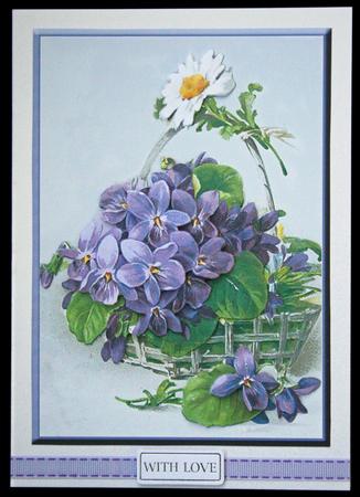 Basket of Violets - Blank by Carol Bath 