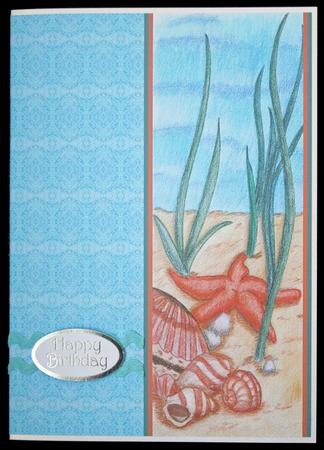 Under the Sea Border Sheet 1 by Carol Bath 