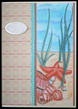 Under the Sea Border Sheet 2 by Carol Bath 