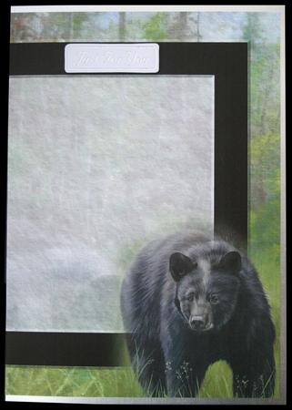 Black Bear Insert by Carol Bath 