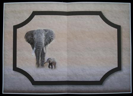 Elephant & Baby Insert by Carol Bath 