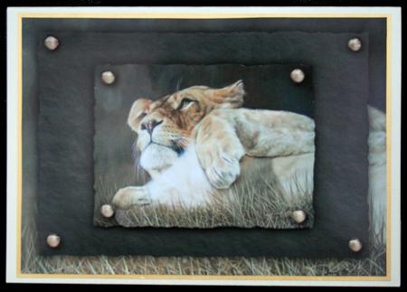 Lioness Quick Card by Carol Bath 