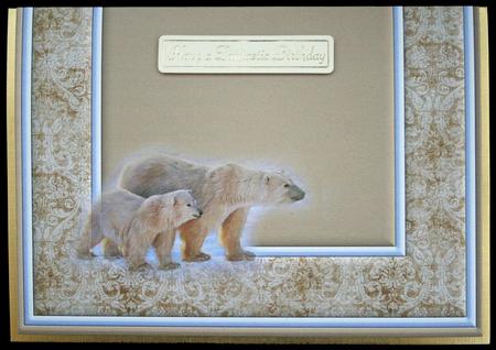 Polar Bears Insert by Carol Bath 