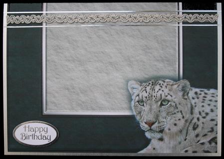 Snow Leopard Insert by Carol Bath 
