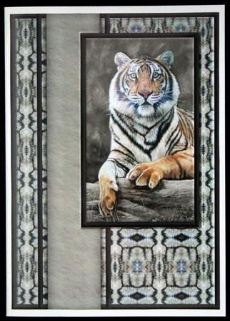 Tiger Quick Card by Carol Bath 