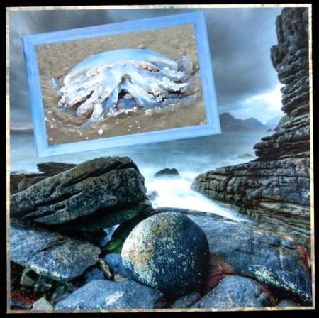 'elgol' Seascape Quickpage 12x12inch Png by Carol Bath 