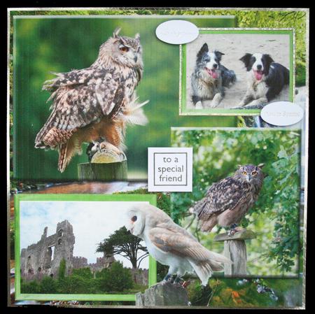 Owls Quickpage 12x12inch by Carol Bath 