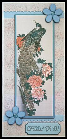 Peacock with Peach Flowers by Carol Bath 