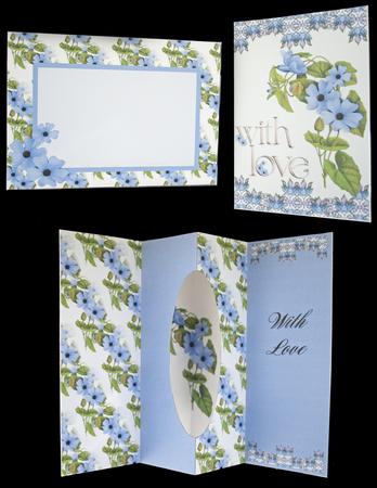 Blue Vine Flowers Internal Window Card Kit by Carol Bath 