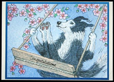 A4 Border Collie Dog Swinging in the Blossom by Carol Bath 